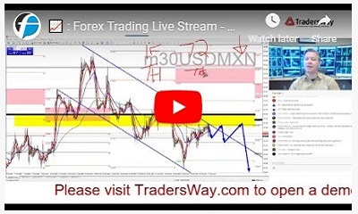 Webinar