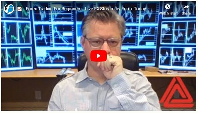 Webinar