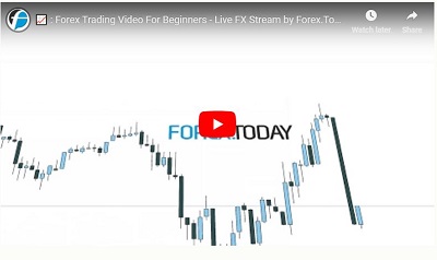 Webinar