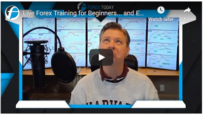 Webinar