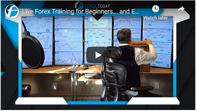 Webinar
