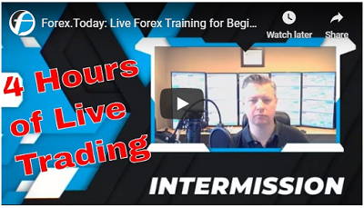 Webinar
