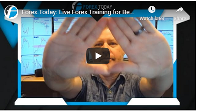 Webinar